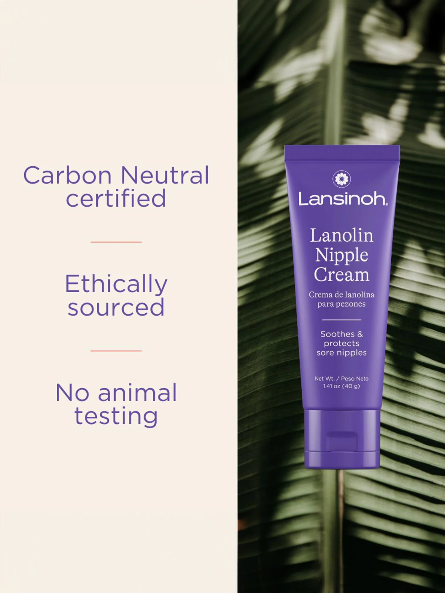 Lansinoh - Lanolin Nipple Cream - Image 4